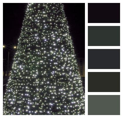 The Lights Stars Christmas Tree Image